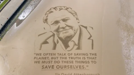 David Attenborough chega aos 100 anos com saga sobre um gorila