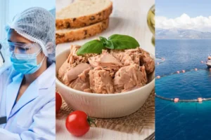 É seguro comer atum? - Notícias ao Minuto Brasil