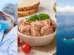 É seguro comer atum? - Notícias ao Minuto Brasil