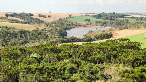 FAEP apoia projeto que impede embargo automático de propriedades rurais