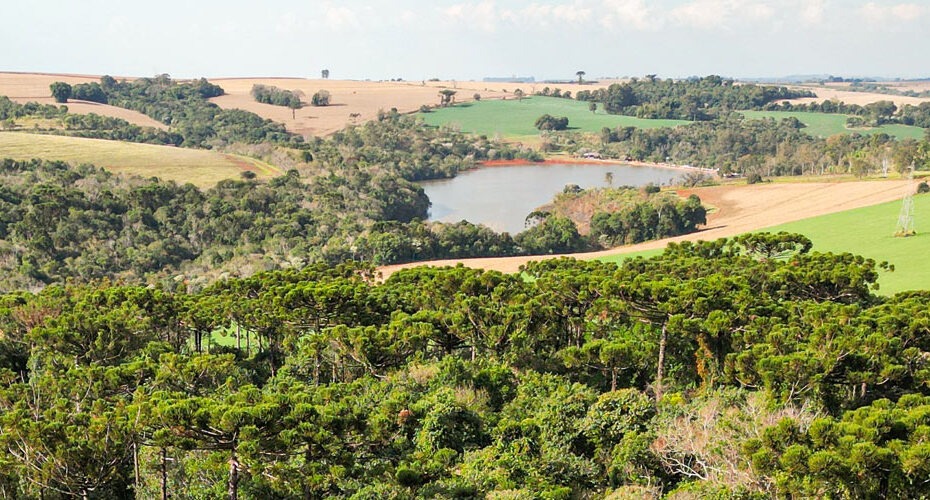 FAEP apoia projeto que impede embargo automático de propriedades rurais