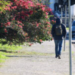 Frio ganha força em Maringá e terça-feira (12) terá tempo firme e manhã gelada