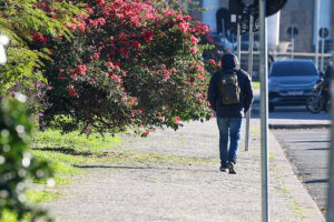 Frio ganha força em Maringá e terça-feira (12) terá tempo firme e manhã gelada