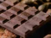 Governo detalha lei que estabelece quantidade de cacau em chocolates