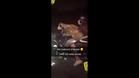 Homem é filmado transportando ovelha em moto na França; vídeo