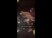 Homem é filmado transportando ovelha em moto na França; vídeo