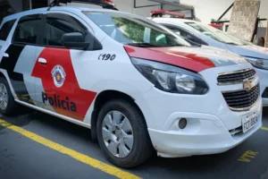 Homem mata, esquarteja primo da esposa e espalha corpo em cidade de SP