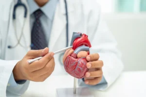 Insuficiência cardíaca: Sinais e fatores de risco desta doença grave