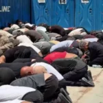 Israel deporta ativistas após vídeo do grupo amarrado e ajoelhado causar crise diplomática