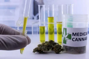 Mulheres de 45 a 64 anos lideram mercado de cannabis medicinal no país