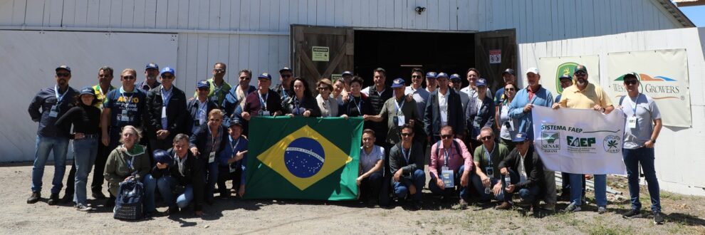 Na Califórnia, produtores do Paraná conhecem o uso de robôs no meio rural