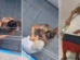 Neta é flagrada agredindo avó de 96 anos em disputa por aluguel; vídeo