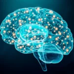 Neurologista revela os 5 truques para o "cérebro demorar a envelhecer"