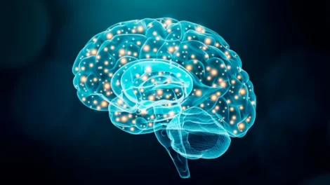Neurologista revela os 5 truques para o "cérebro demorar a envelhecer"