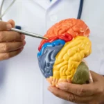Neurologistas alertam: 5 hábitos comuns que afetam a saúde do cérebro