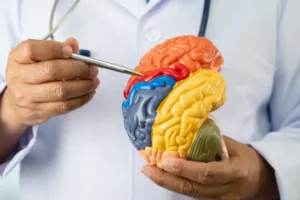 Neurologistas alertam: 5 hábitos comuns que afetam a saúde do cérebro