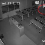 Novas imagens mostram aparição de onça-pintada em Mandaguari; VÍDEO