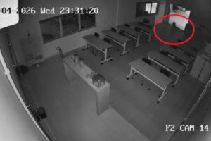 Novas imagens mostram aparição de onça-pintada em Mandaguari; VÍDEO