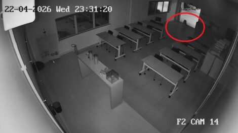 Novas imagens mostram aparição de onça-pintada em Mandaguari; VÍDEO
