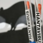 O que é e como se transmite o hantavírus, responsável por três mortes em cruzeiro no Atlântico