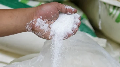 PF apreende 48 toneladas de açúcar suspeito de adulteração no PR
