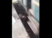 Pai salta nos trilhos do trem para salvar o filho bebê; vídeo