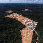Planeta perdeu mais de 41 milhões de hectares de florestas em 10 anos