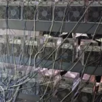 Polícia encontra fazenda clandestina de criptomoedas durante operação contra o CV