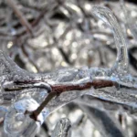 Previsão diz que há chance de neve no Brasil neste fim de semana