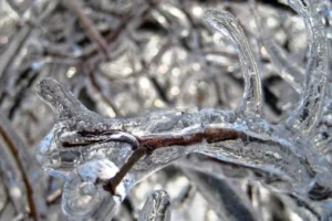 Previsão diz que há chance de neve no Brasil neste fim de semana