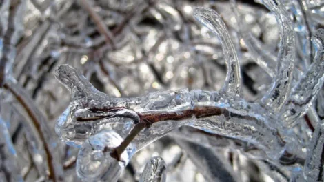 Previsão diz que há chance de neve no Brasil neste fim de semana