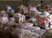 Prova Rústica Tiradentes bate recorde e arrecada mais de 9 toneladas de alimentos para entidades de Maringá