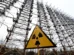 Radiação mudou cães de Chernobyl? Como ciência explica alterações genéticas