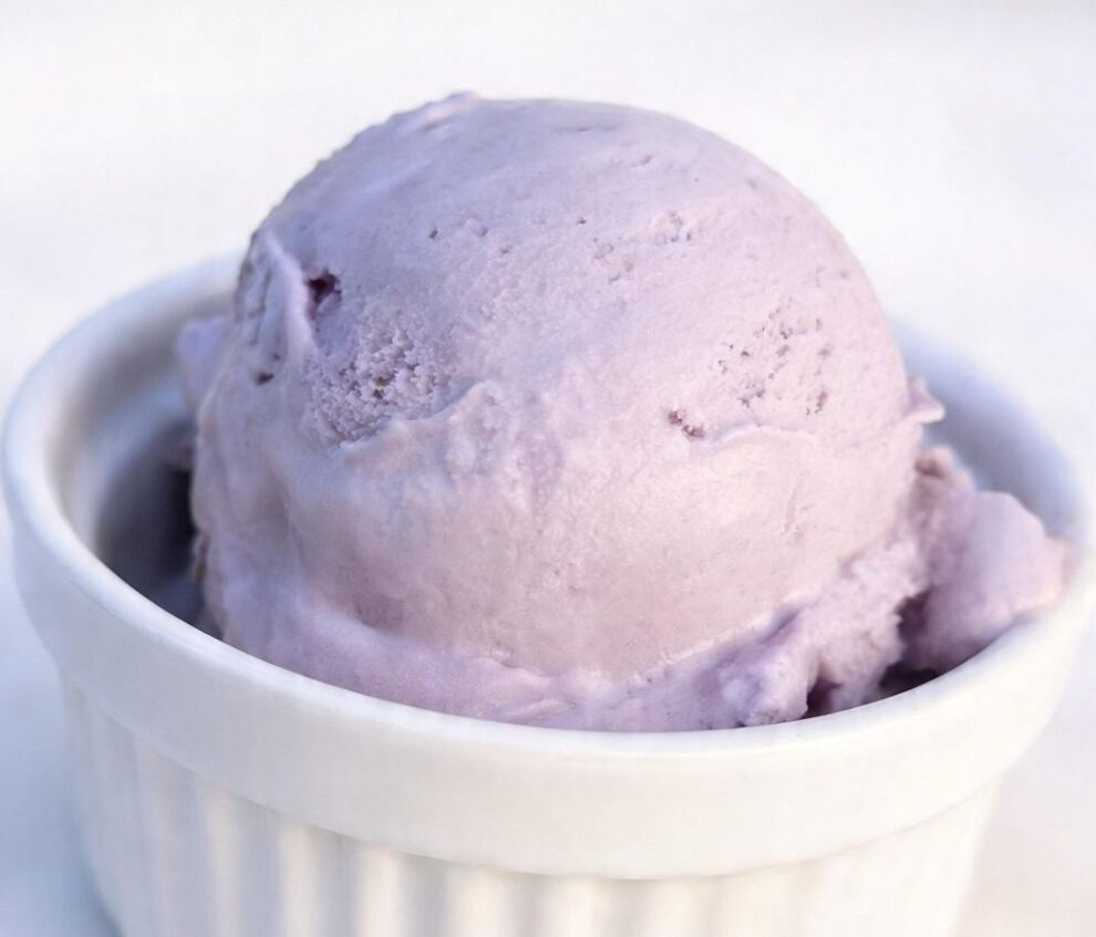 Sorvete feito com lavanda faz sucesso em sorveteria de sabores ‘exóticos’ em Maringá