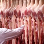 UE enviará ao Brasil lista com pedido de informações adicionais sobre carnes exportadas