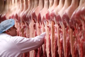 UE enviará ao Brasil lista com pedido de informações adicionais sobre carnes exportadas