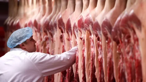 UE enviará ao Brasil lista com pedido de informações adicionais sobre carnes exportadas