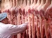 UE enviará ao Brasil lista com pedido de informações adicionais sobre carnes exportadas