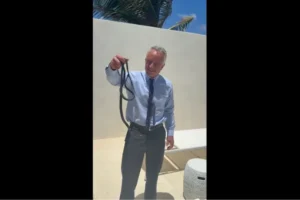 Vídeo: Robert F. Kennedy Jr. é mordido por cobras após pegá-las com a mão
