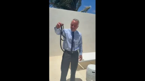Vídeo: Robert F. Kennedy Jr. é mordido por cobras após pegá-las com a mão