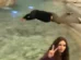 Vídeo: turista é preso na Itália após mergulhar na Fontana di Trevi