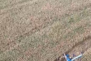 Aeronave cai na zona rural de Marialva na manhã desta segunda-feira (22)