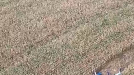 Aeronave cai na zona rural de Marialva na manhã desta segunda-feira (22)