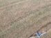Aeronave cai na zona rural de Marialva na manhã desta segunda-feira (22)