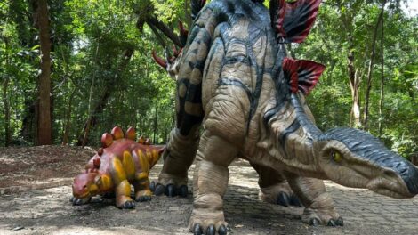 Maringá Post