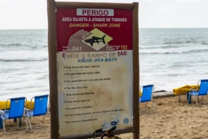 As praias mais perigosas do mundo - e 3 estão no Brasil