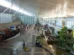 Barrada no Panamá, imigrante mora em aeroporto há 6 meses e espera documentos para rever filho