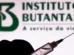 Butantan mantém estudo sobre vacina da dengue em idosos