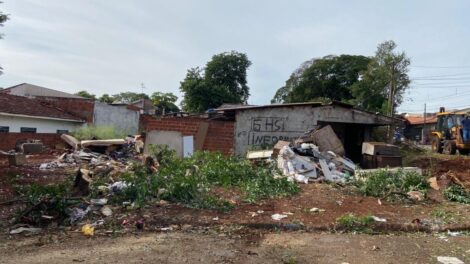 Com 60 mil solicitações, Limpeza Urbana é a Secretaria com mais pedidos protocolados pela população