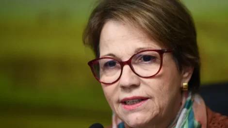 Cotada para vice de Flávio, senadora Tereza Cristina integra instituto patrocinado por empresas